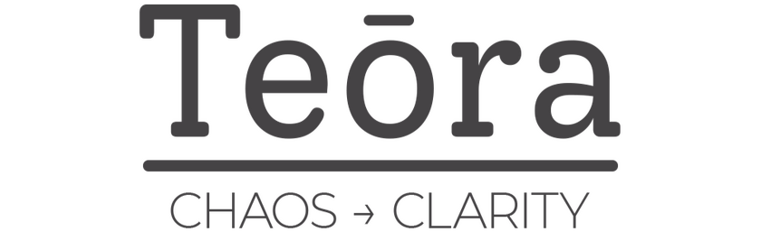 Website for systems improvement consultancy Teōra